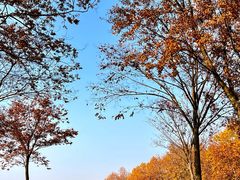-宜兴龙背山森林公园