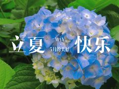 -临平公园(临平街道)