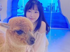 -Blue Concept Cafe&Farm·關於藍
