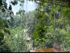 -谷咖啡·鲜花绿植花园餐厅