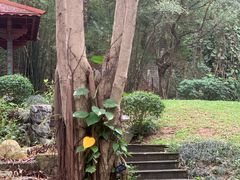 -深圳国际园林花卉博览园