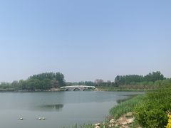 -大兴滨河森林公园