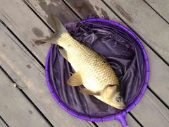 -酷鱼垂钓CLUB(朝阳区博大路店 )