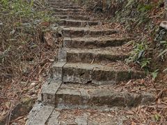 -姑婆山旅游区