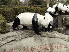 -都江堰中华大熊猫苑