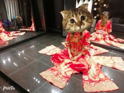 点击看大图 -GRACE KELLY婚纱与礼服(北京店)