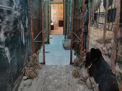 -北京动物园-畅观楼