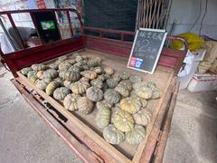 -东漖肉菜综合市场