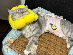 -荔康动物医院(康王北路店)