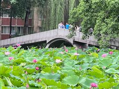 -西南交通大学(九里校区)