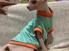 -藏猫猫咖啡主题馆(中央大道店)