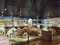 -陕西自然博物馆