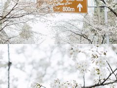 -南京城墙景区