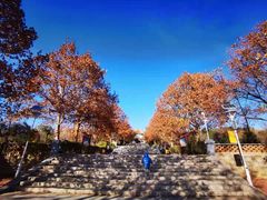 -白求恩柯棣华纪念馆