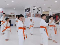 -极真空手道修远道场