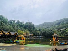 -西双版纳原始森林公园