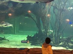 -华夏文旅海洋公园