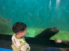 -泉城欧乐堡海洋极地世界
