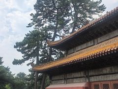 -普乐寺