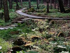 -洛阳白云山景区