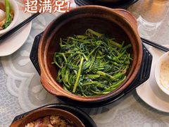 -熠盛粤味·顺德桑拿鸡(永康路店)