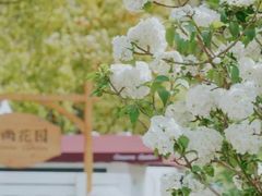 -嘉北郊野公园