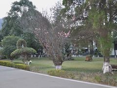 -西昌邛海宾馆