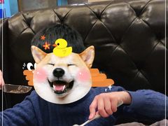 -尊品牛排(沙湾印象汇店)