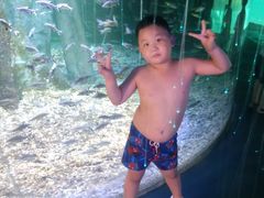 -秦皇岛乐岛海洋王国