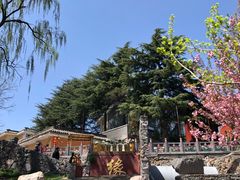 景点-少林寺景区