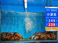 -海味当家·蒸锅海鲜(星海公园店)