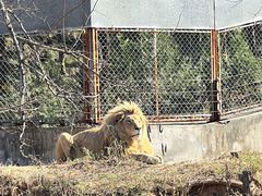 -石家庄市动物园