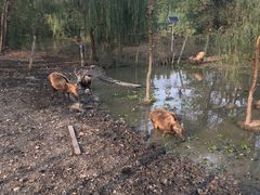 -溱湖国家湿地公园