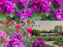 -睦南公园
