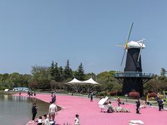 -上海鲜花港