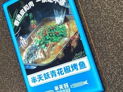 -半天妖烤鱼(丰科万达店)