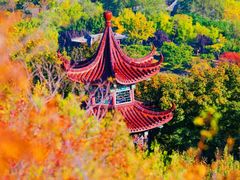 -沉浸北京·团建旅行·密室剧本杀·年会会议轰趴拓展