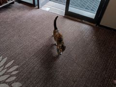 -扬州东关街文昌阁桔子水晶酒店