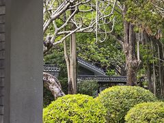 -四海公园(南山区)