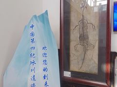 -中国第四纪冰川遗迹陈列馆