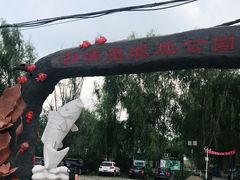 -白渔泡湿地公园