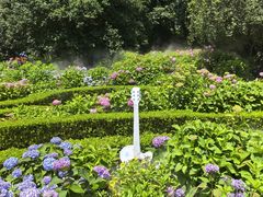 -上海共青森林公园