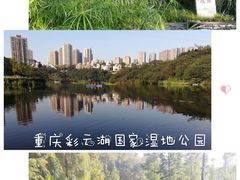 -重庆彩云湖湿地公园