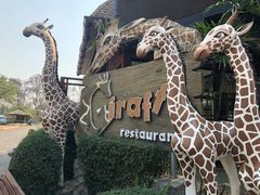 -清迈夜间动物园