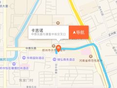 -卡吉诺动物奶油生日蛋糕(中原路店)