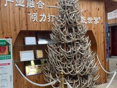 -北京鹿世界主题园