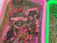 -众味海鲜大排档·活海鲜·潮汕味(南澳店)