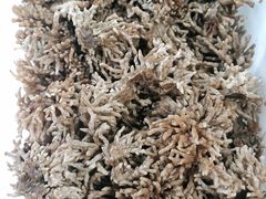 -畲乡一品鱼府土菜馆