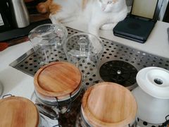 -WATER CAFE(广厦店)