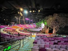 -广州长隆国际大马戏